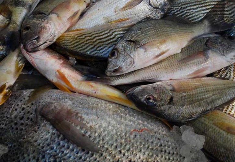 Otra vez encontraron alimentos en mal estado a punto de ser comercializados