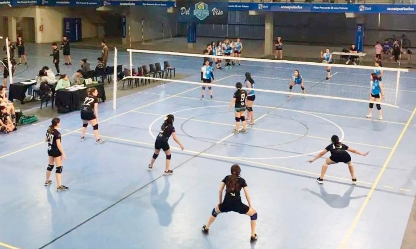 La Liga Municipal de Voley coronó a los campeones de 2023