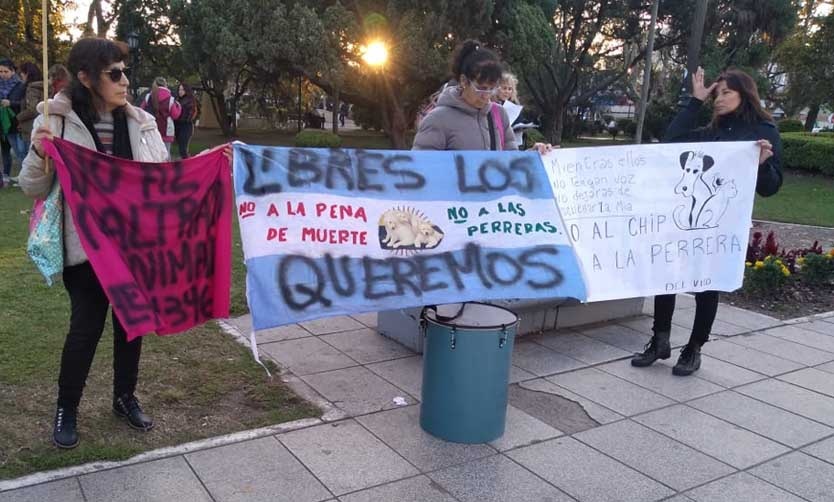 Proteccionistas volvieron a las calles para oponerse a la colocación de chips a los perros