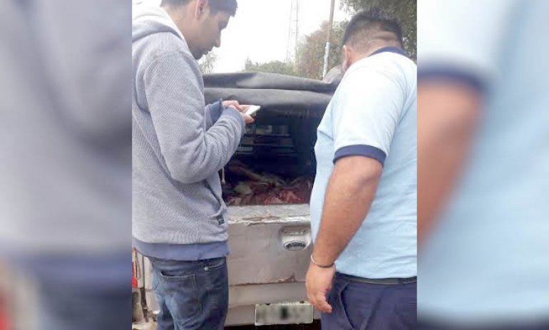 Decomisan 350 kilos de carne en mal estado