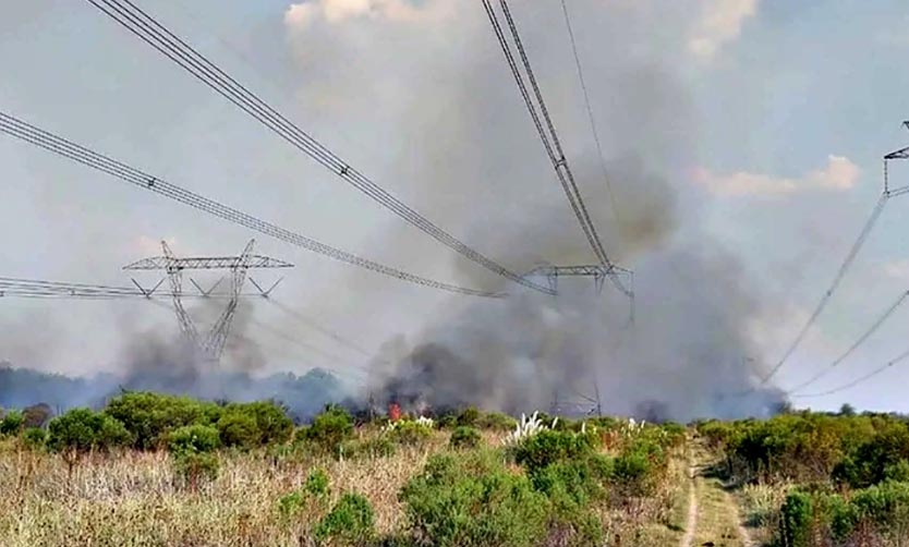 Voraz incendio de pastizales se extendió por más de 20 hectáreas