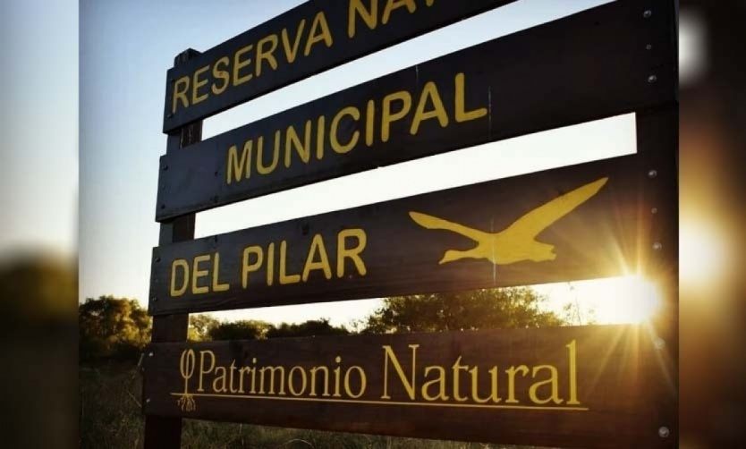 Convocan a plantar árboles por el Medioambiente y la Memoria