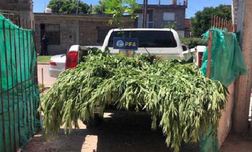 Apresan a una banda que robaba casas y vendía drogas